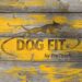 Enthüllung der Vitalität von Hunden: DOG FIT by PreThis® – Ganzheitliche Gesundheit für Ihren vierbeinigen Freund