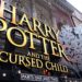 A Spellbinding Journey: ‘Harry Potter and the Cursed Child’ at the Lyric Theatre