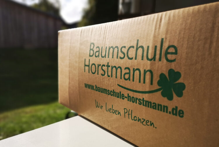 Grünes zum Greifen nah: Der Online-Pflanzenshop der Baumschule-Horstmann