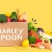 Frisch, köstlich, erschwinglich: Die Marley Spoon Meal Kits werden vorgestellt