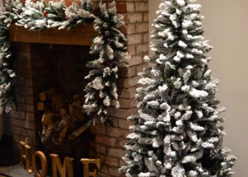 Festive Foliage: The Range Christmas Trees Wonderland!