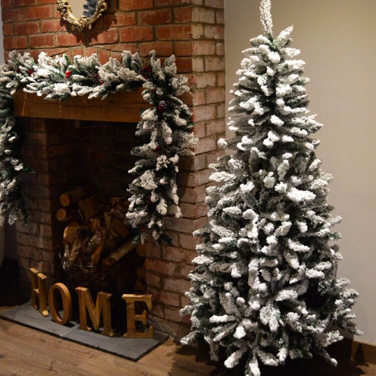 Festive Foliage: The Range Christmas Trees Wonderland!