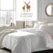 Luxuriate in Elegance with Hampton and Astley: A Home Oasis