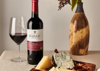 Disfrute de la excelencia española: Descubra el singular mundo de 15 bodegas