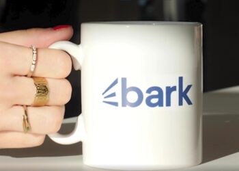 Bark: Streamlining Your Search for Exceptional Services
