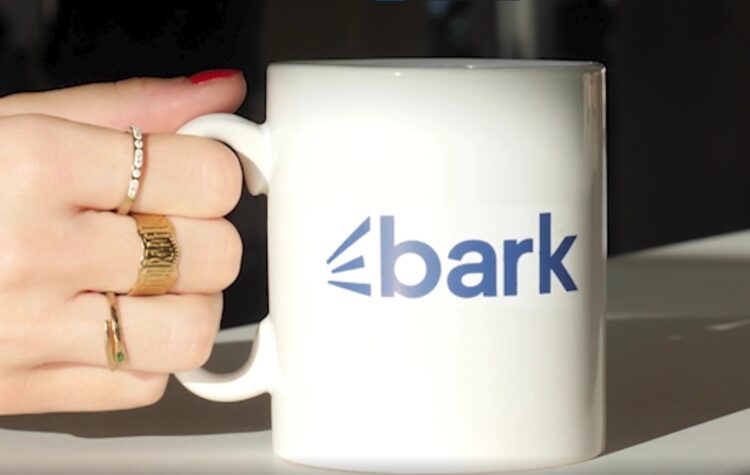 Bark: Streamlining Your Search for Exceptional Services