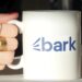 Bark: Streamlining Your Search for Exceptional Services