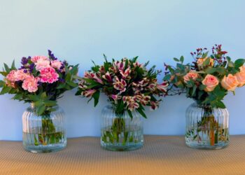 Alegría floreciente: La elegancia floral de Colvin Flower Delivery al descubierto