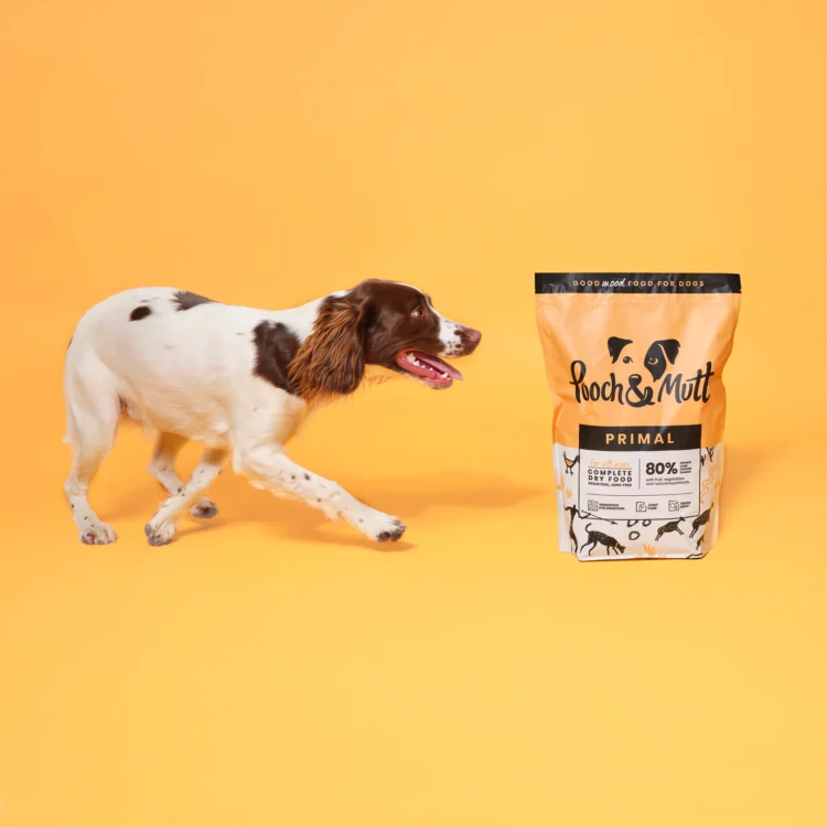 Healthy Tummies, Happy Tails: Pooch and Mutt’s Nutritious Dog Dry Food!