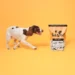 Healthy Tummies, Happy Tails: Pooch and Mutt’s Nutritious Dog Dry Food!