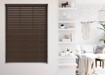 Dining Delight: Uncover the Latest Blinds Collection!