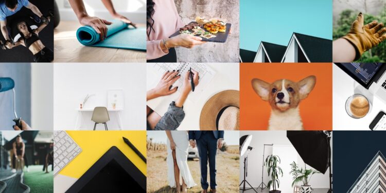 Unveiling Bark: Your Gateway to Effortless Service Discovery