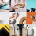 Unveiling Bark: Your Gateway to Effortless Service Discovery