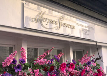Embrace the Season: Celebrate Christmas with Moyses Stevens Flowers!