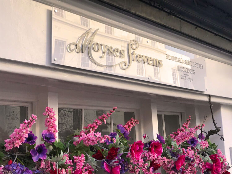 Embrace the Season: Celebrate Christmas with Moyses Stevens Flowers!