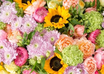 Blume Ideal: Blühende Träume für Blumenliebhaber