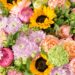 Blume Ideal: Blühende Träume für Blumenliebhaber