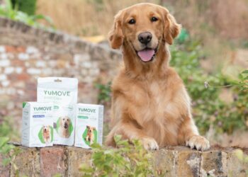 YuMOVE: Unlocking Vitality and Mobility for Your Beloved Canine Companion