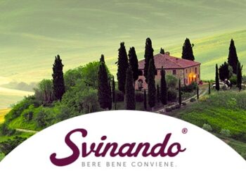 Svinando: L’arte di scegliere il vino in modo personalizzato