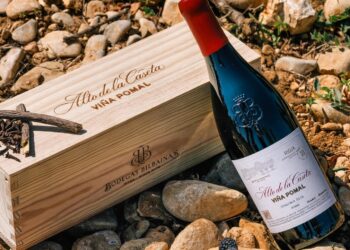 15 Bodegas: Excelencia artesanal en cada botella