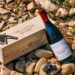 15 Bodegas: Excelencia artesanal en cada botella