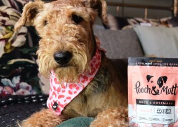 Nourishing Your Canine Companion: Pooch & Mutt’s Path to Wholesome Wellness