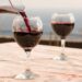 Svelare la tavolozza di Svinando: Il mondo dei vini rossi pregiati