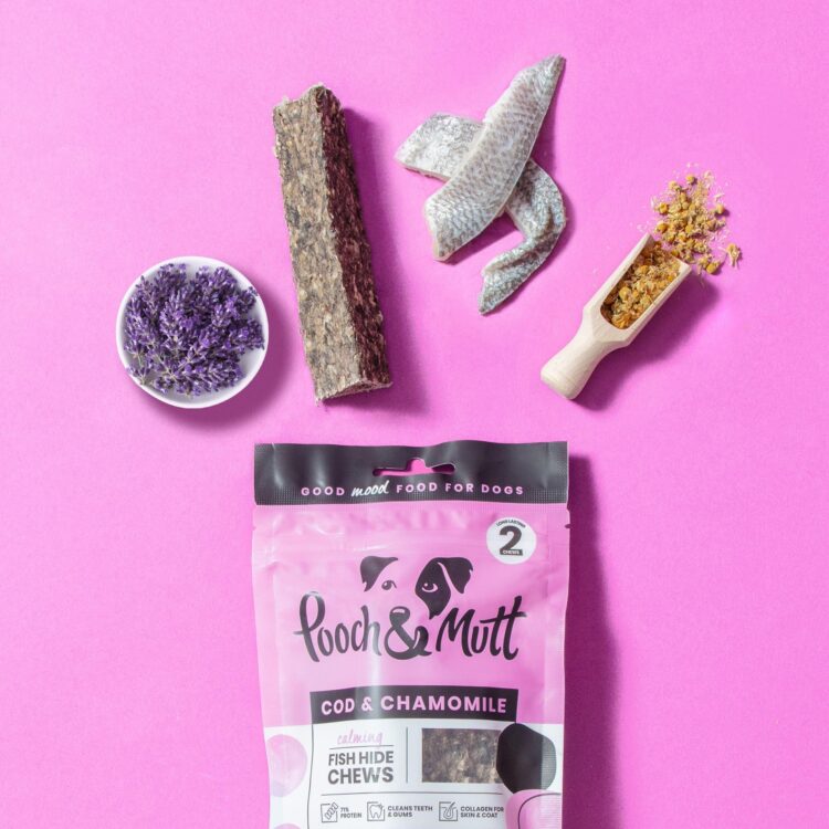 Nourishing Tails: Pooch & Mutt’s Culinary Commitment to Canine Wellness