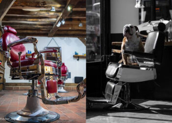 Introducing the Lotus Raleigh Barber Chair: Shaping the Future of Barber Shops