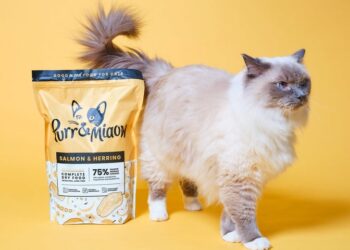Pooch and Mutt’s Delicious Dry Cat Food – The Perfect Choice for Your Feline Friend