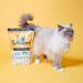 Pooch and Mutt’s Delicious Dry Cat Food – The Perfect Choice for Your Feline Friend