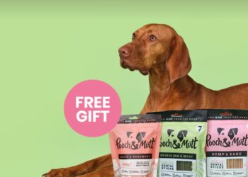 Elevating Pet Wellness with Every Treat: Get a Free Gift with Every Purchase from Pooch and Mutt
