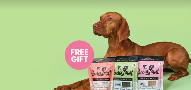 Elevating Pet Wellness with Every Treat: Get a Free Gift with Every Purchase from Pooch and Mutt