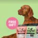 Elevating Pet Wellness with Every Treat: Get a Free Gift with Every Purchase from Pooch and Mutt