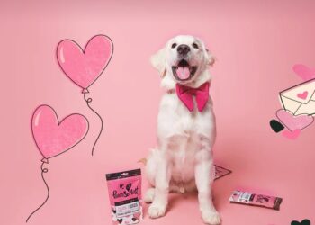 Spoiling Your Pup This Valentine’s Day with Pooch & Mutt’s Limited Edition Love-ly Lamb