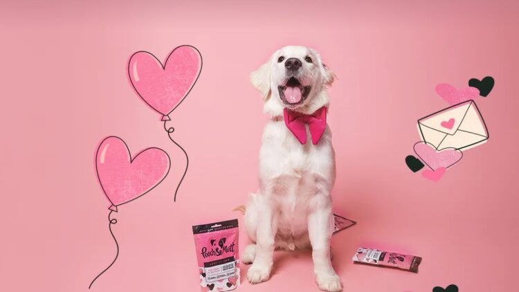 Spoiling Your Pup This Valentine’s Day with Pooch & Mutt’s Limited Edition Love-ly Lamb