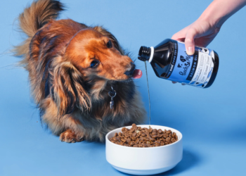 Boost Your Dog’s Health Naturally: Pooch and Mutt’s Essential Dog Supplements & Vitamins