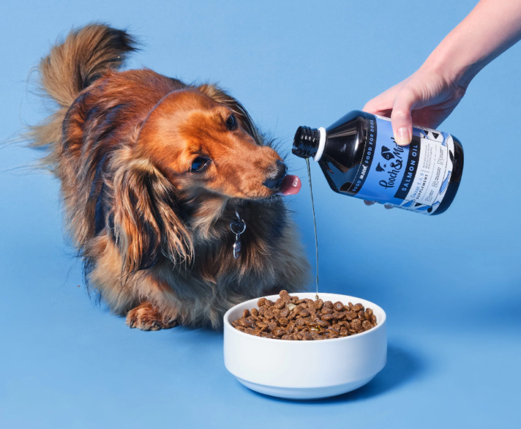 Boost Your Dog’s Health Naturally: Pooch and Mutt’s Essential Dog Supplements & Vitamins