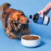 Boost Your Dog’s Health Naturally: Pooch and Mutt’s Essential Dog Supplements & Vitamins