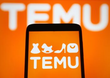 Die Temu-Schatztruhe aufschließen: Bestseller für jeden Lebensstil