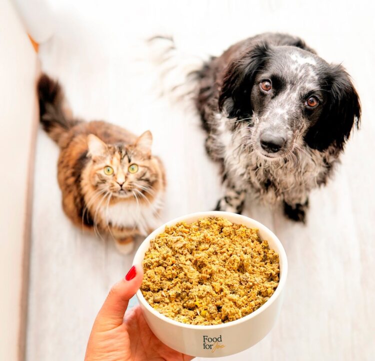 Nutrición a medida para su mascota: Una inmersión en Food for Joe