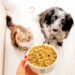 Nutrición a medida para su mascota: Una inmersión en Food for Joe