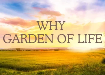 Plant-Powered Perfection: Unveiling Garden of Life’s Vegan Protein Haven