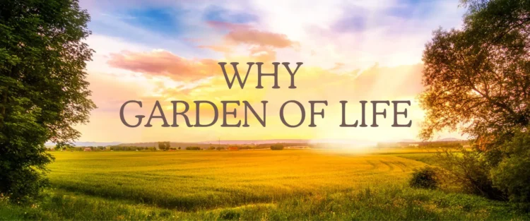 Plant-Powered Perfection: Unveiling Garden of Life’s Vegan Protein Haven
