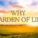 Plant-Powered Perfection: Unveiling Garden of Life’s Vegan Protein Haven