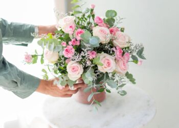 Colvin: Flores frescas y plantas elegantes a domicilio