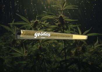 Améliorez votre expérience du cannabidiol avec les meilleures ventes de GoldenCBD
