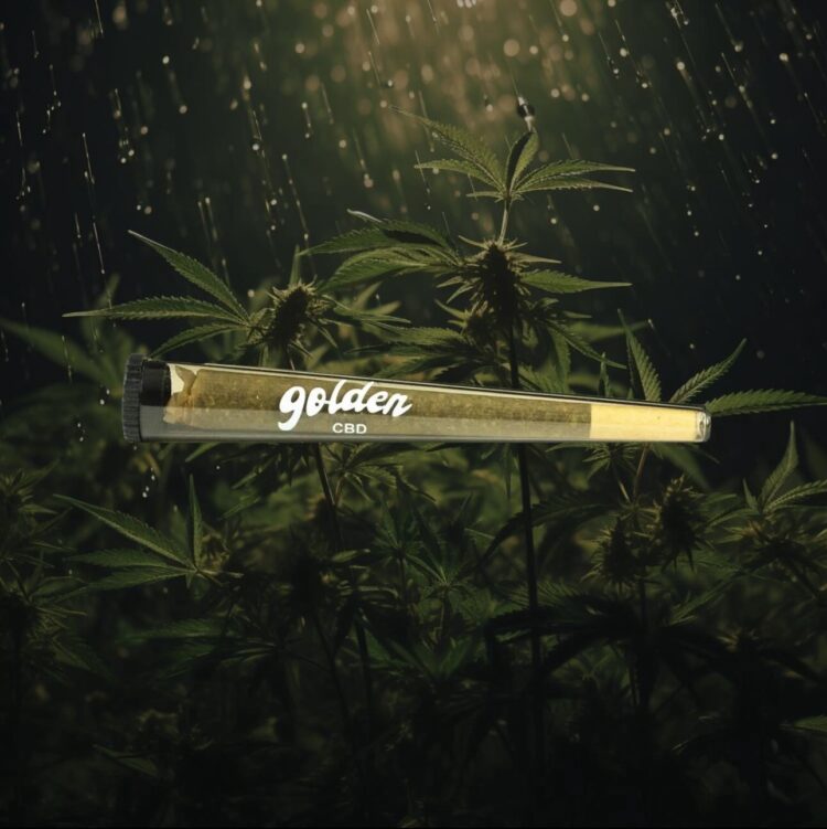 Améliorez votre expérience du cannabidiol avec les meilleures ventes de GoldenCBD