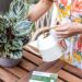 Lively Root: Cultivating Connections with Every Leaf and Petal
