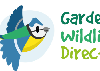 Nurturing Nature: A Closer Look at Garden Wildlife Direct’s Bird Food Range